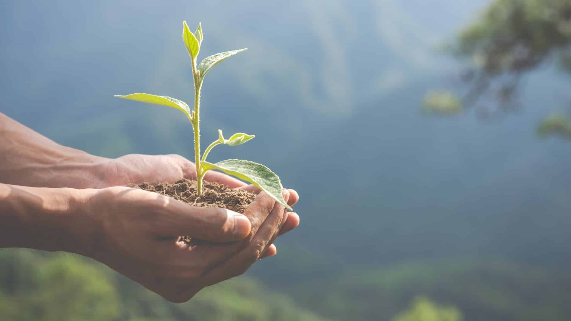 提供永續經濟活動的指引判斷!解析台灣與歐盟永續分類標準差異